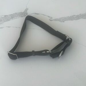 MARTINGALE DOG COLLAR